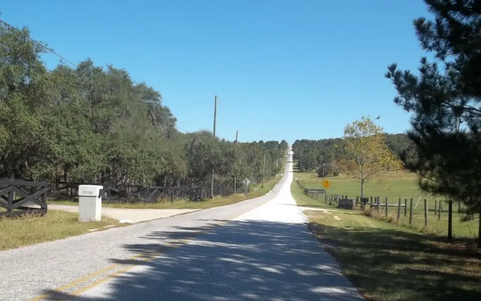 Quiet country road lined with trees in Ferndale, FL
