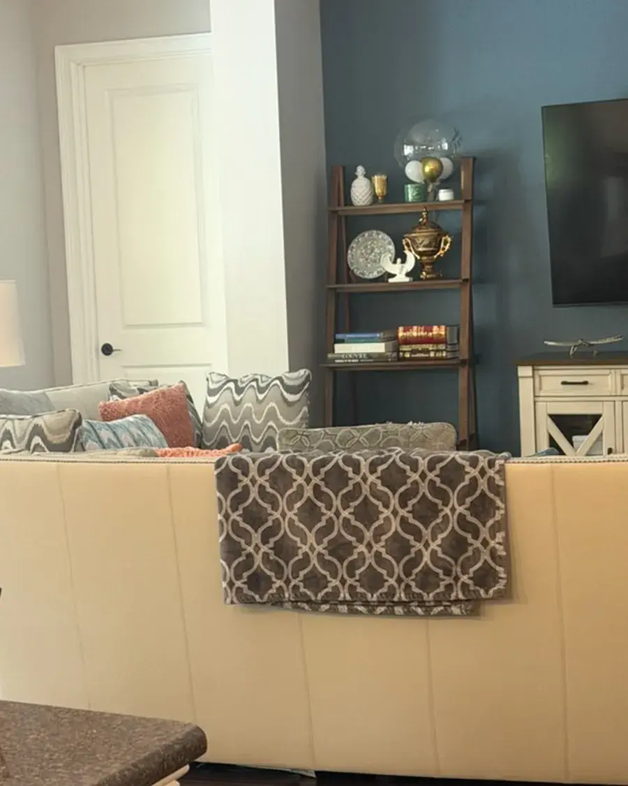 Family room with a patterned throw on the sofa and tidy shelves after a weekly house cleaning in Horizon West, FL
