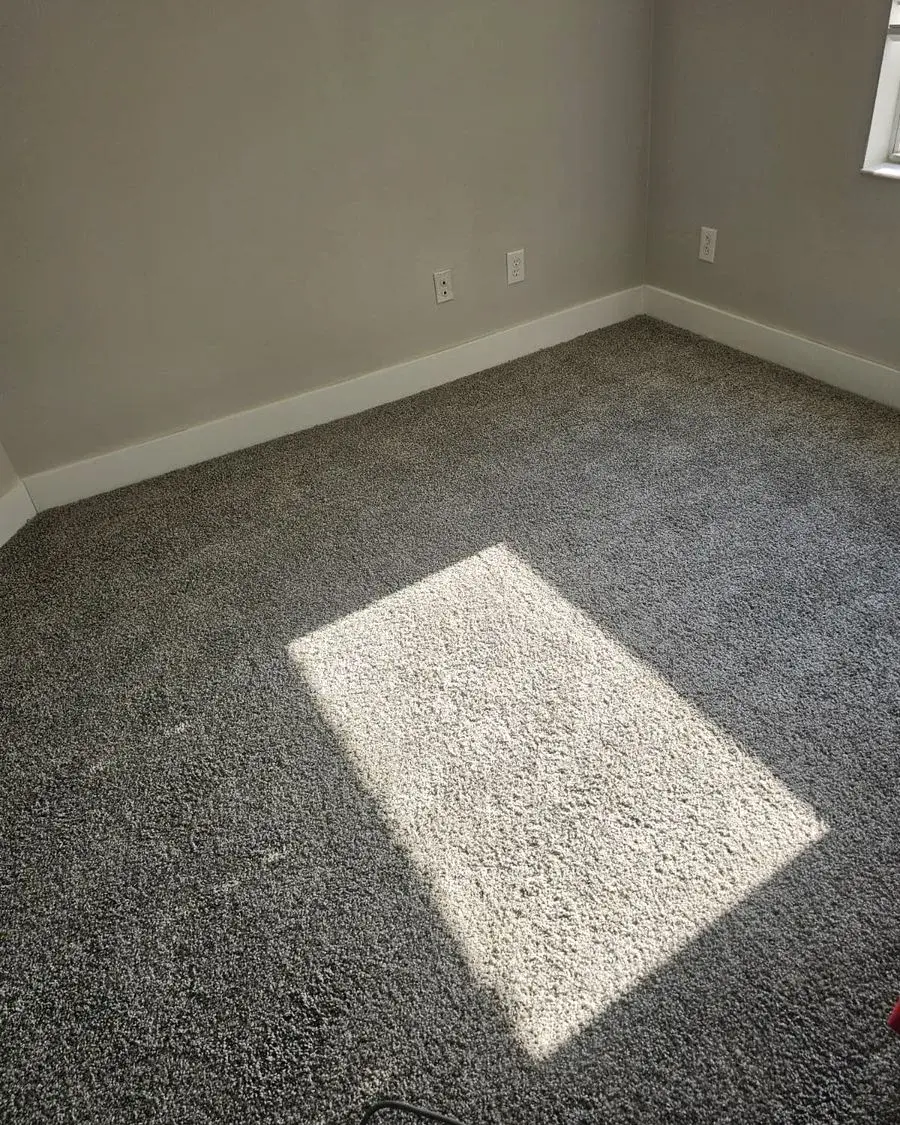 Empty carpeted bedroom with sunlight across the floor after a move-in cleaning in Minneola, FL