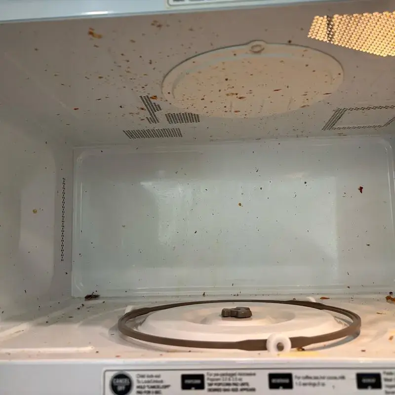 Microwave interior spattered with food before a CleanieUp deep cleaning in Winter Garden, FL